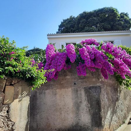 Apartman Pia Mali Lošinj Exterior foto