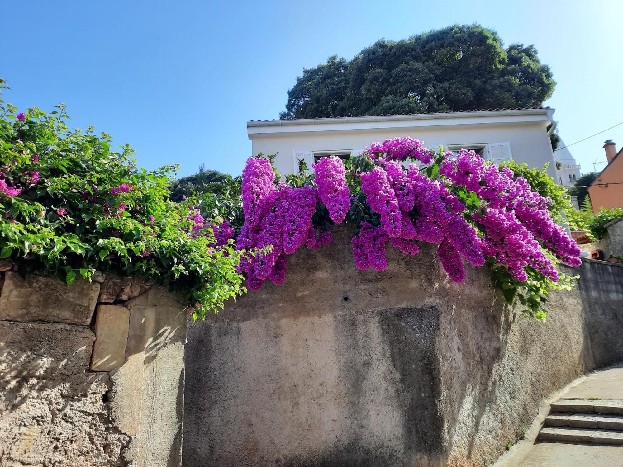 Apartman Pia Mali Lošinj Exterior foto